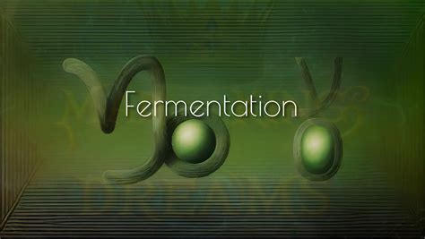 fermentation  path