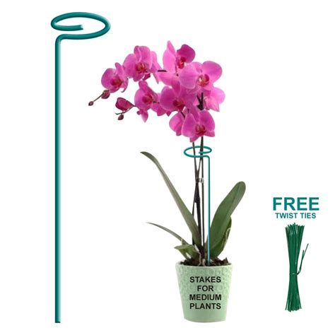 Bloomax Garden Products – bloomax.live