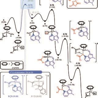 Dft Calculated Energy Profile Obtained For The Ru Ii Catalyzed