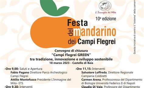 Festa Del Mandarino Dei Campi Flegrei Sabato Il Convegno Al Castello