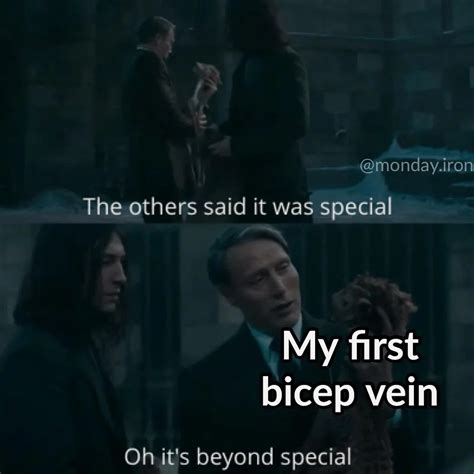 First bicep vein meme in 2023 | Biceps, Gym memes, Memes