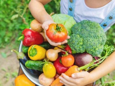 Quando Le Verdure Sono Fresche Consigli Per Controllare La Freschezza