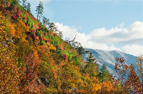 Appalachian Mountains Snow Stock Photos, Pictures & Royalty-Free Images - iStock