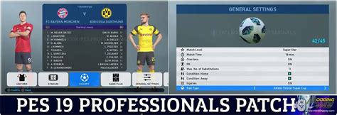 PES Professionals Patch 2019 Fix Selector Pro Evolution Soccer 2019