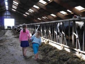 Ijsboerderij Boereiis In Akkrum Ijs Eten Beestjes Kijken En Spelen