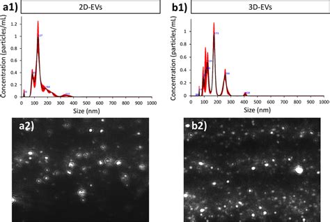 Characterization Of Particles From And D Evs Using Nta Analysis