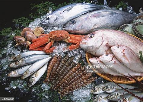 376 Red Sea Bream Stock Photos High Res Pictures And Images Getty