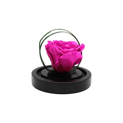 Ars Nova Rosa Incantata Fucsia Senza Stelo Idea Fiori