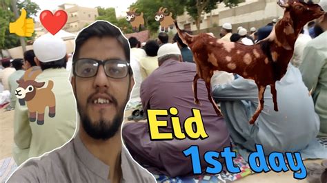 Eid Ka Pehla Din Alhumdullillah Bakra Qurban Hogaya Arsalan Bhai