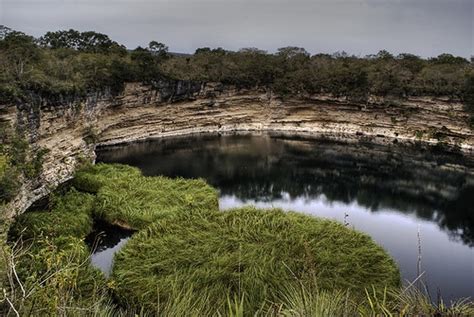 Cenote el Zacaton | Swimming holes, Mexico, Cenotes