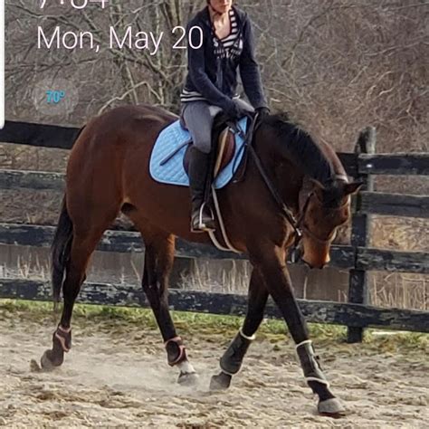 Cheyenne Lord: 2020'S Hidden Heiress To A $1.6M Fortune