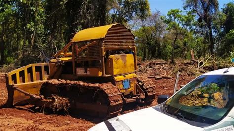 Video Guardaparques Frenaron El Avance De Deforestaci N Ilegal En La