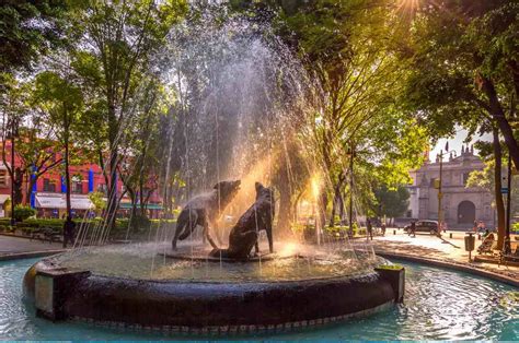 Qué Hacer En Coyoacán Guía De Atracciones Imperdibles