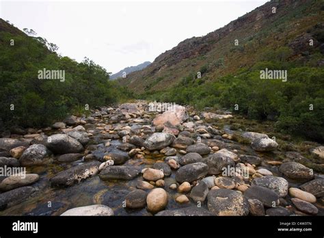 River, Paarl, South Africa Stock Photo - Alamy