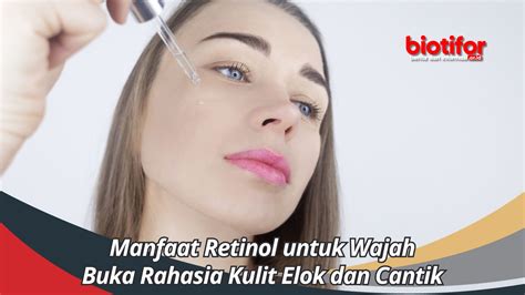 Manfaat Retinol Untuk Wajah Buka Rahasia Kulit Elok Dan Cantik Biotifor