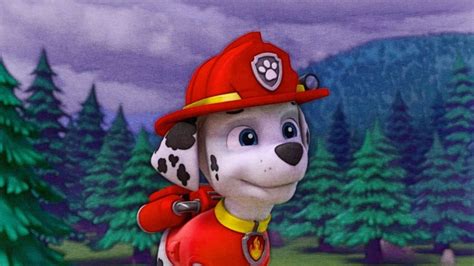 Marshall Paw Patrol Fan Art 40146368 Fanpop