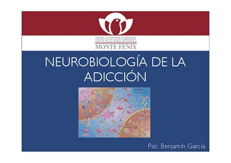 Pdf Neurobiología De La Adicción