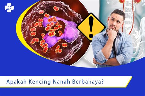 Waspada Apakah Kencing Nanah Berbahaya Klinik Utama Sentosa