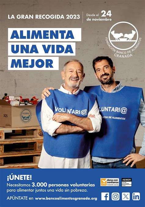 La Gran Recogida de Alimentos 2023 Ayto Cúllar Vega