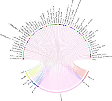 Frontiers Global Analysis Of Transcription Start Sites In The New