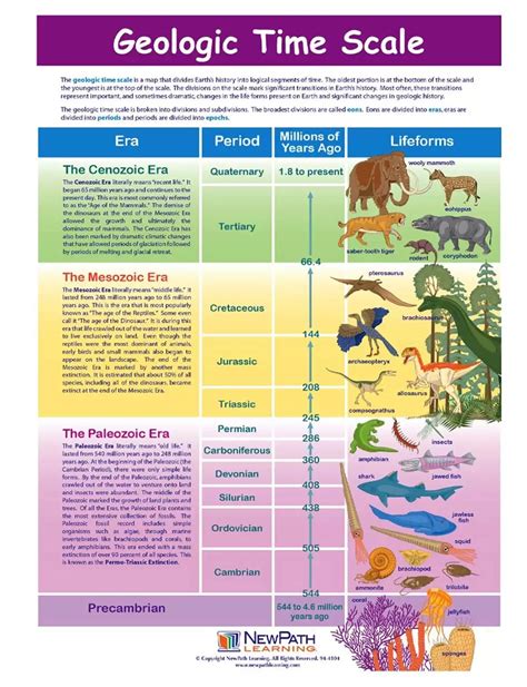 Geologic Timeline Ozarks Gem And Mineral Society