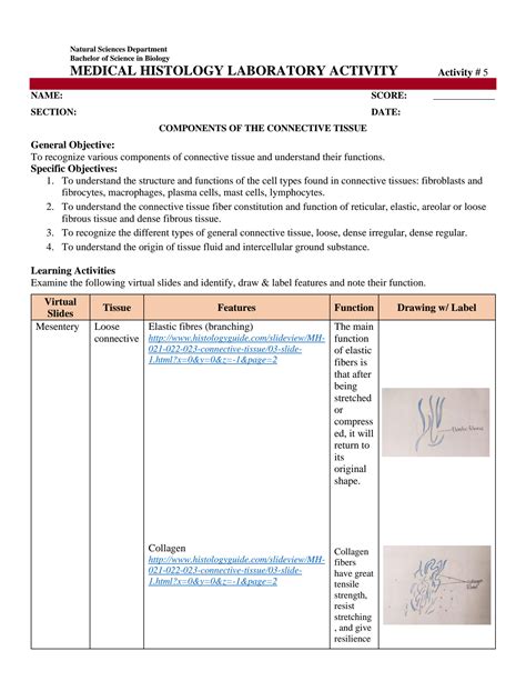 Solution Medical Histology Laboratory Activity Components Of The