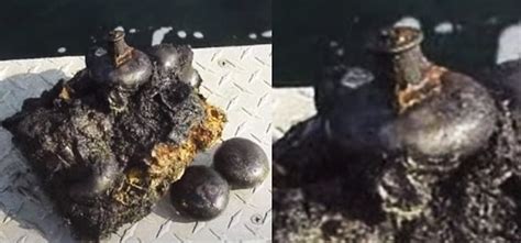 300 Million Year Old Wheel Discovered In A Coal Mine Of Donetsk Ukraine