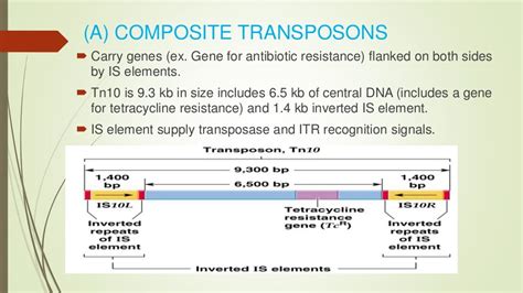 TRANSPOSABLE ELEMENTS