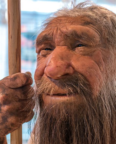 Neandertaler Steckbrief Merkmale Der Urmenschen Schreiben Net