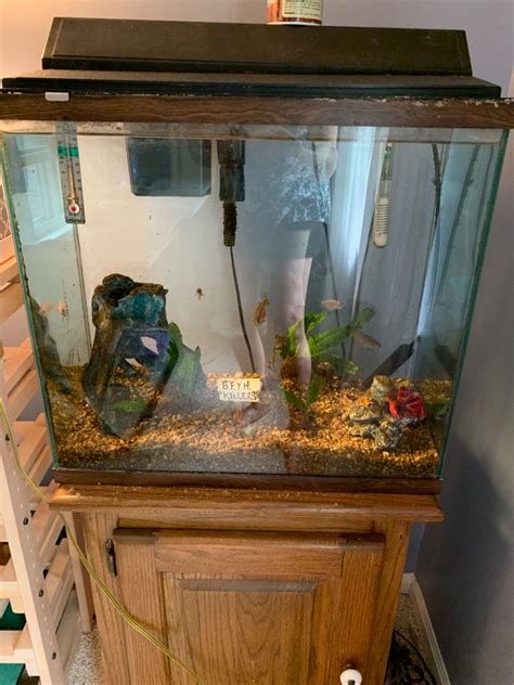 20 Gallon Fish Tank And Accessories Columbia Md Patch