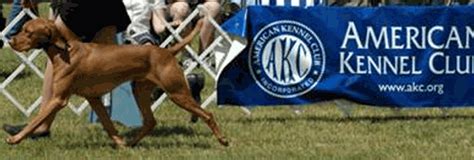 Key City Kennel Club