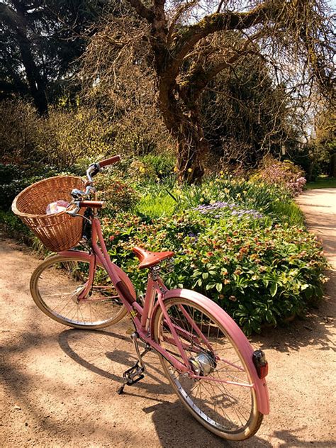 Blooms Bicycles Manchester Bicycle Hire Bicycle Picnics Locally