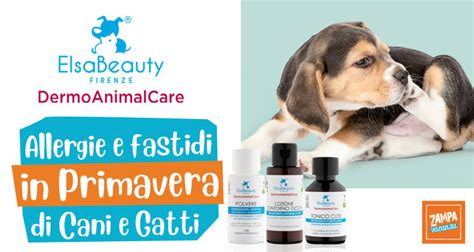 Allergie E Fastidi In Primavera Di Cani E Gatti Prevenzione E