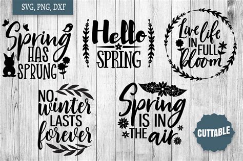 Spring SVG Bundle Spring Quote Cut File Welcome Spring Svg