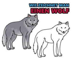 Wolf zeichnen Schritt für Schritt Anleitung Zeichnen Ideen