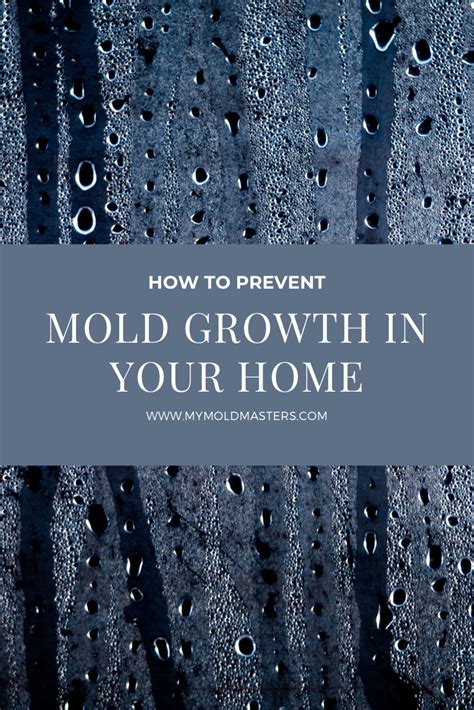 How To Prevent Mold Growth In Your Home