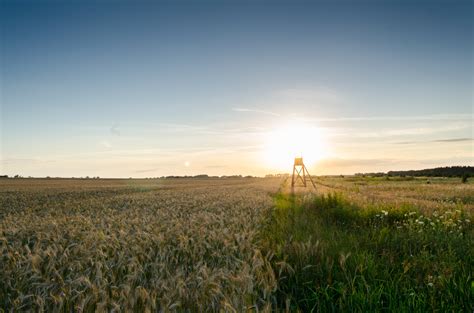 Free Images Landscape Horizon Marsh Cloud Sky Sunrise Sunset