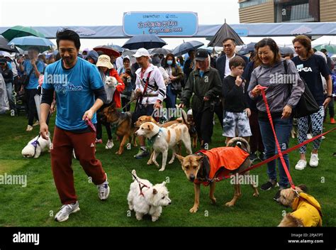 Eric kwok Fotos und Bildmaterial in hoher Auflösung Alamy