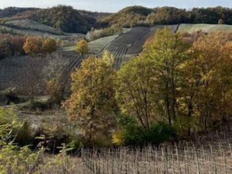 Asta Per Terreno Agricolo Strada Provinciale Snc Montalto Pavese