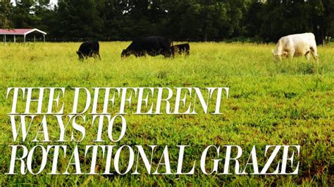 Principle Of Rotational Grazing