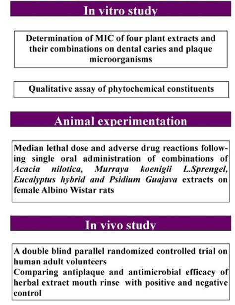 Diagrammatic Representation Of Clinical Research Download Scientific Diagram