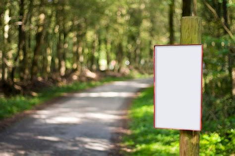 Tabela Em Branco Em Uma Trilha Na Floresta Foto Premium