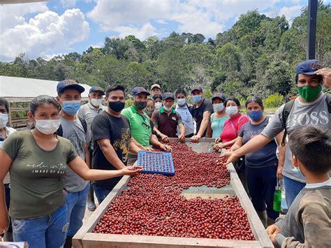 Cartera Narsa Negociaciones Agroindustrial Arevalo S A El Mejor