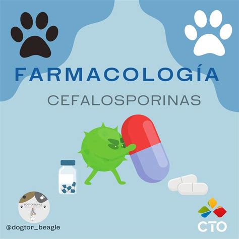 Cefalosporinas Dogtor Beagle Udocz