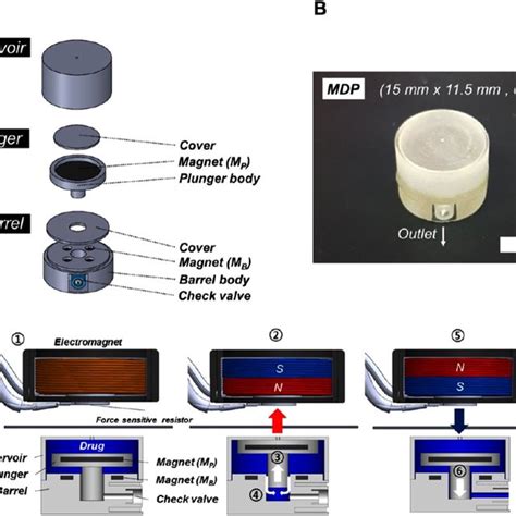 Schematic Illustration Of The Wirelessly Controlled Implantable Insulin Download Scientific