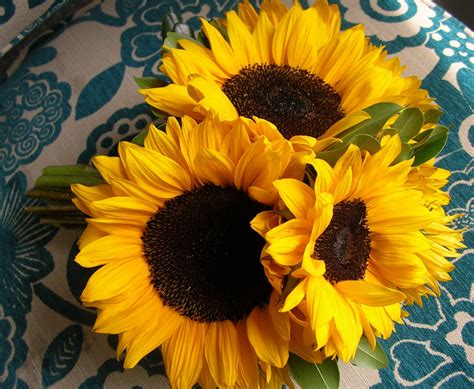 Sunflower Bouquet | Sunflower bouquets, Floral design, Plants