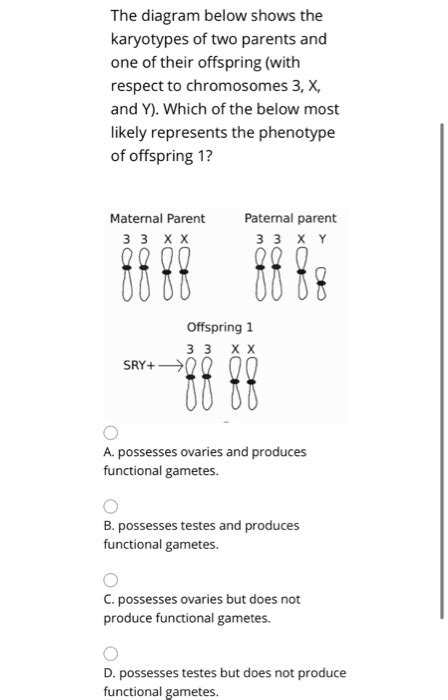 Solved The Diagram Below Shows The Karyotypes Of Two Parents Chegg