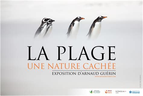 La Plage Une Nature Cach E Exposant Montier Photo Festival