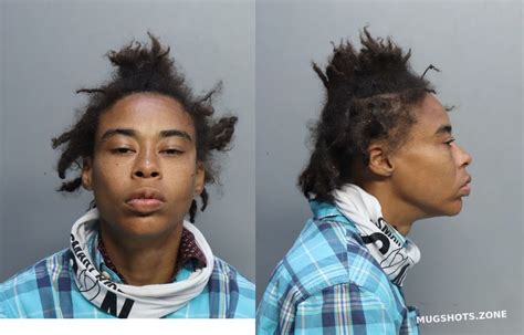 Terry Nillie Miami Dade County Mugshots Zone