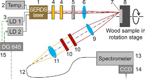 Figure 1 From Shifted Excitation Raman Difference Spectroscopy Combined With Wide Area